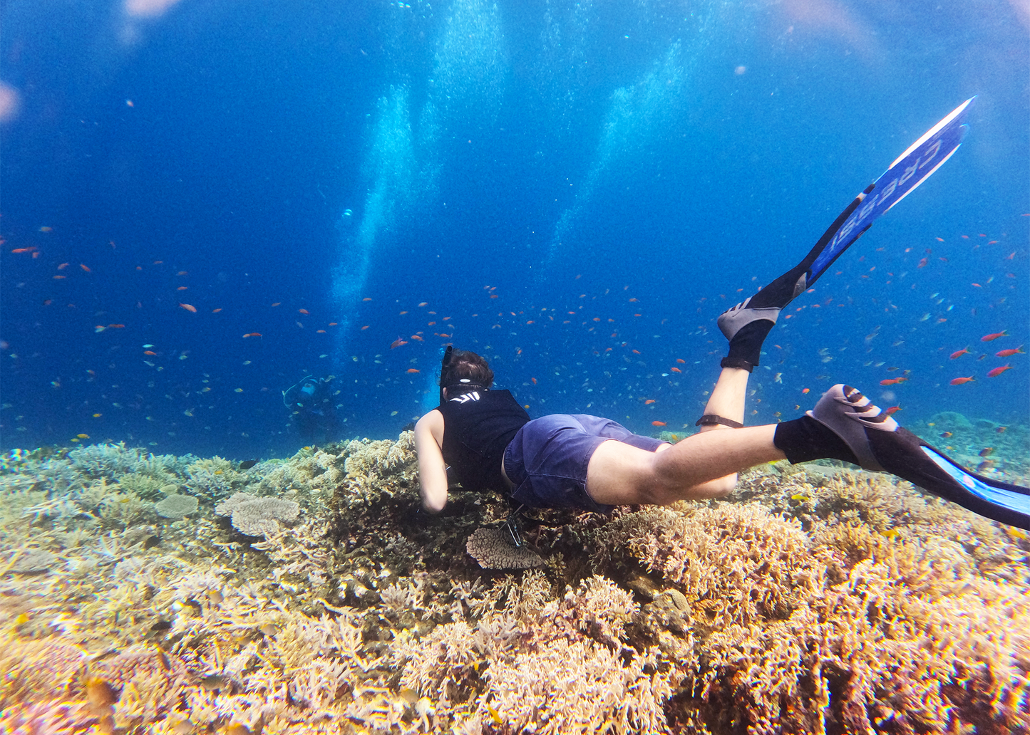 FREEDIVING & SPEARFISHING WETSUIT SAFETY VEST