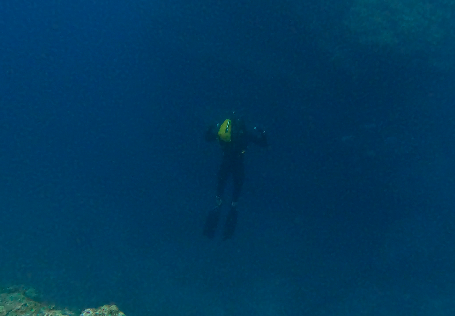 FREEDIVING & SPEARFISHING WETSUIT SAFETY VEST