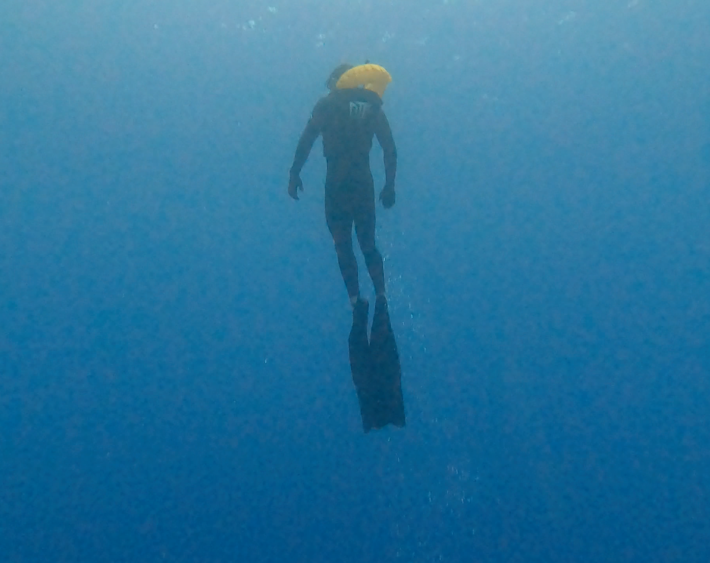 FREEDIVING & SPEARFISHING WETSUIT SAFETY VEST
